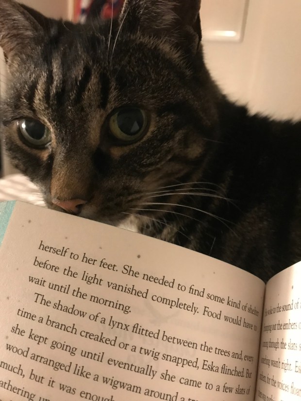 20357D84-C5A6-424E-AEA9-3305C1F94B2C