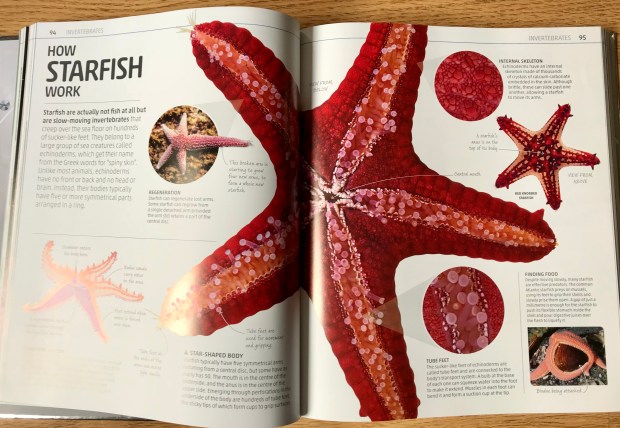 87529A48-D2CE-481E-966B-D6EA695C9581