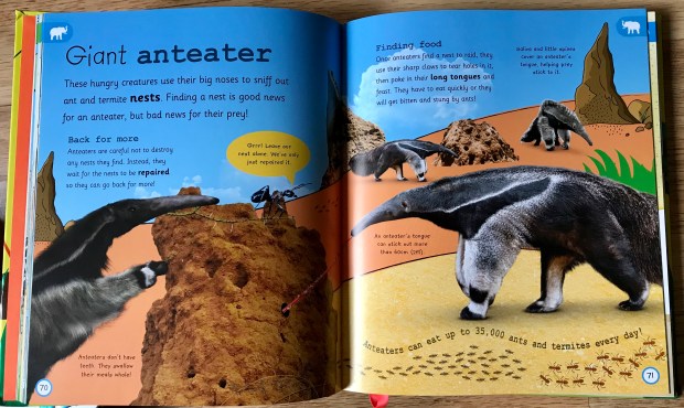 D7DCF1E5-4A98-41FE-A4C4-2356F709E58F