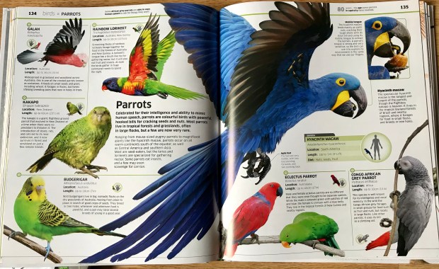 D9D94A12-0CE9-4BBF-8CAF-6FD9C8DDABF3