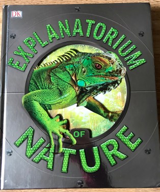 F06FCC8C-1F85-4666-A551-1C58ADE7785E