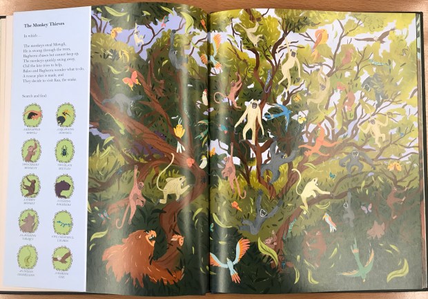 02FD1911-EFFD-4830-9636-20D71F9FB5F8