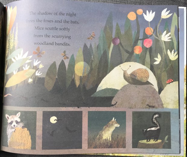 7EE9DBFF-1C6B-4679-9794-FBF4241412B2