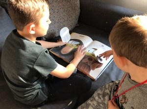 ADDA2353-A739-4C67-9851-6B7DFFD668D3