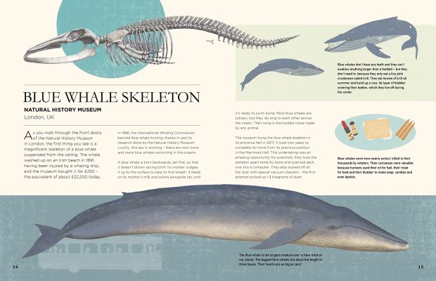 12bed146-0f4a-45b6-b9af-4d5eed135251