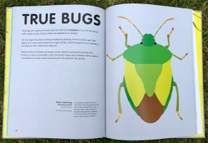 4F0CB8DF-0A72-4AA1-BE36-0C0806BCB3FC