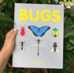 A56F8543-C91D-4D9E-870A-C93B2D4C4B40