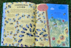 E9F5CB6D-EBAC-44E5-89ED-499496C14240