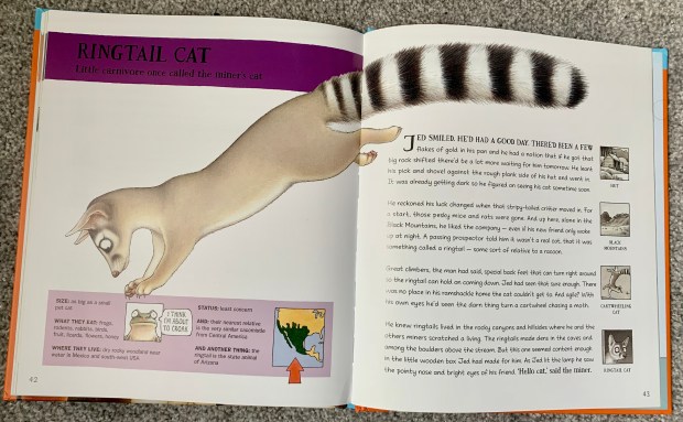 68CB6C66-34FD-454B-976F-2EA34583536A