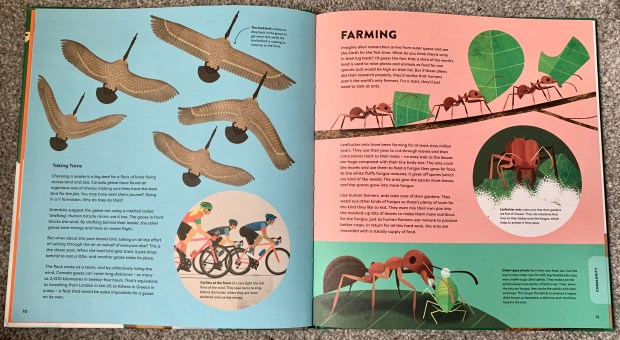 DE435312-A30A-4888-87DE-23215BC0167D