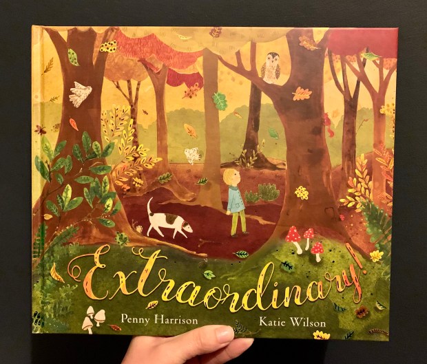 B5B534D2-0183-4B63-A454-F09D7E27C45B