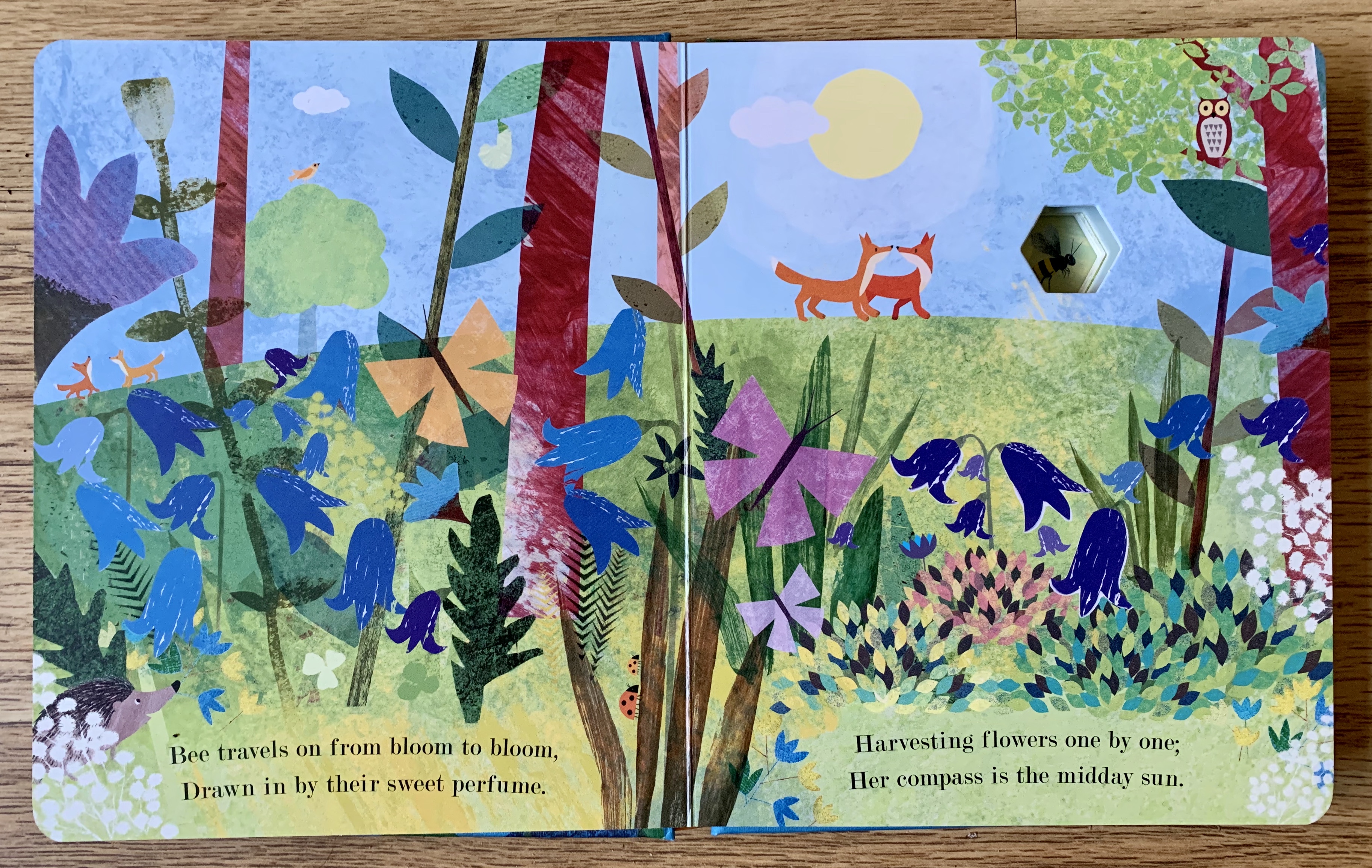 1BD9E413-BD05-4375-8DB6-4326B1002330