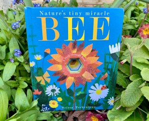 58D11C8B-0C6D-4F32-A6A9-7D5F972E3680