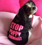 BACFA817-645C-45C2-A89B-E23076320E9B