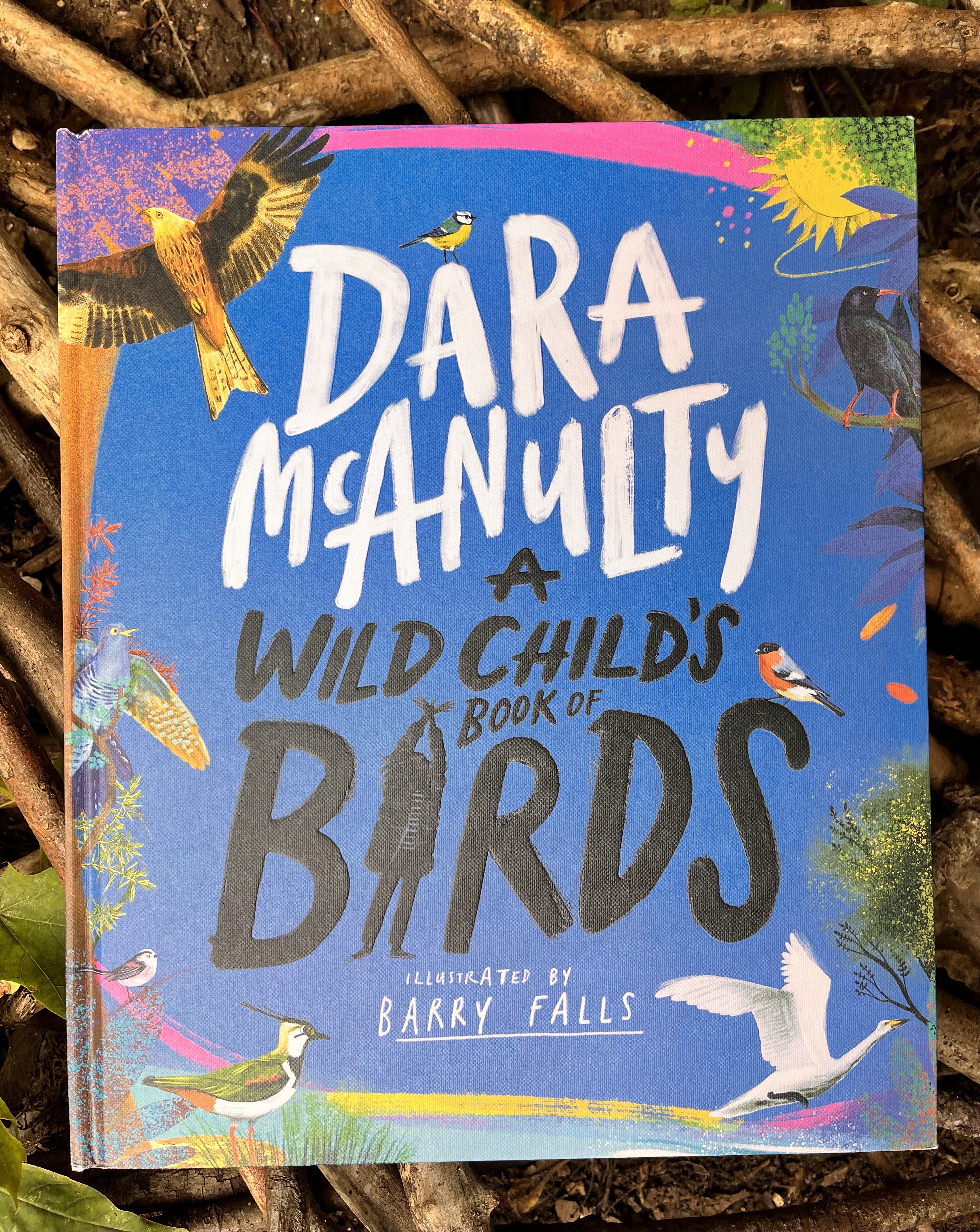 ‘A Wild Child’s Guide to Birds,’ by Dara McAnulty, illustrated by Barry ...