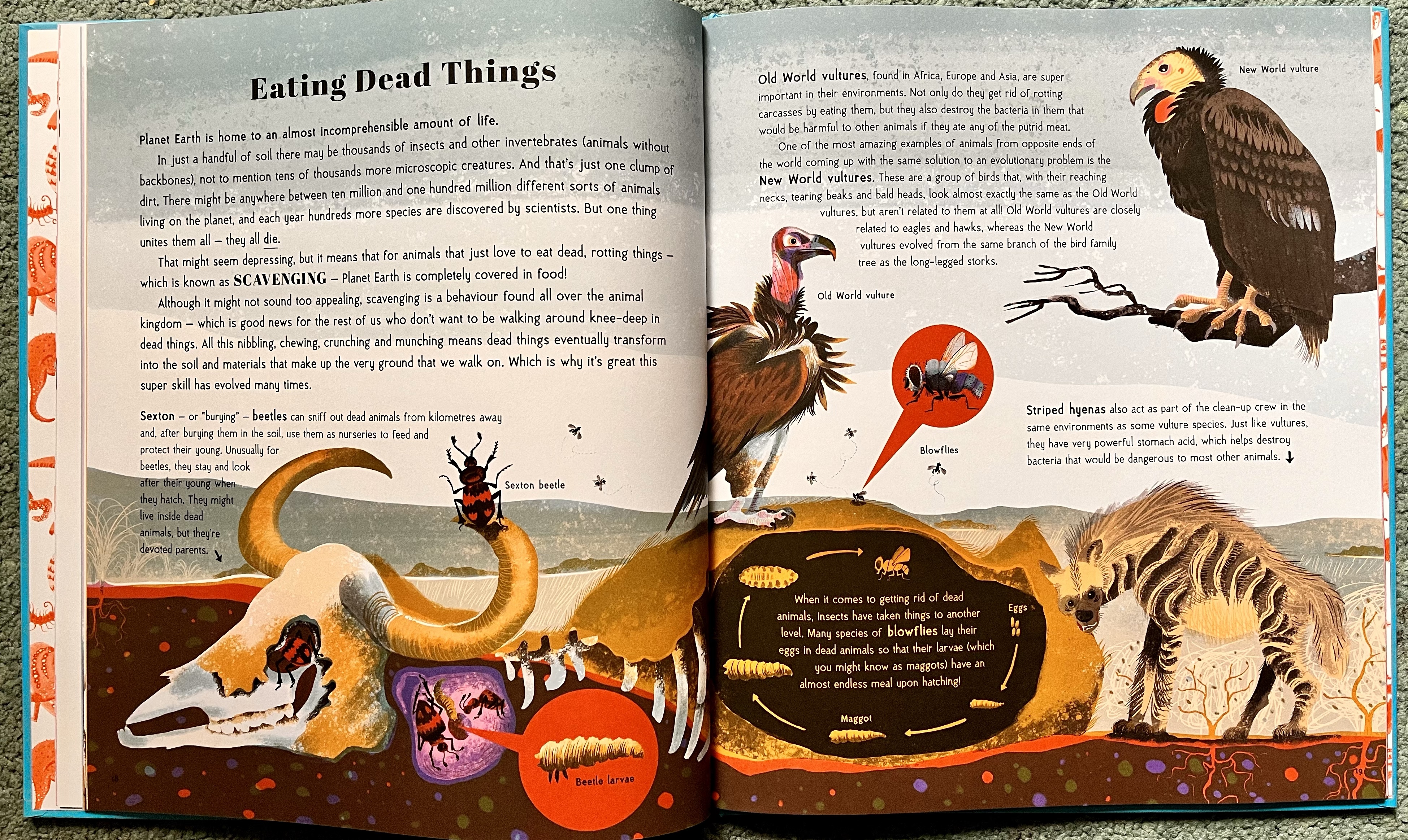#NNFN ‘Animal Superpowers: The Most Amazing Ways Animals Have Evolved ...
